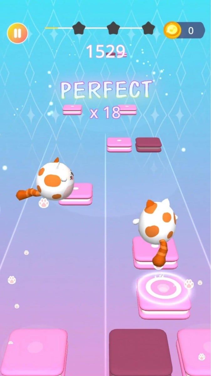 Dancing Cats: Duet Meow