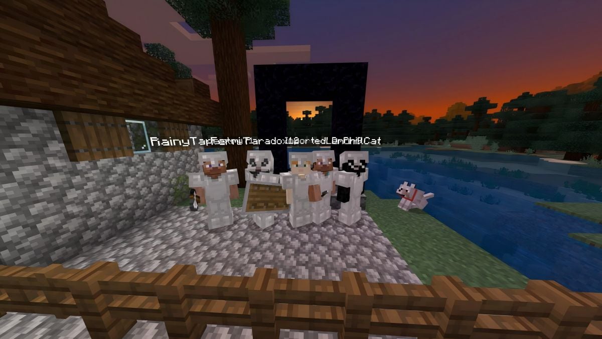 Minecraft: Play with Friends